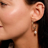 Borla Hoops
